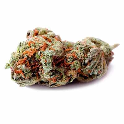 Alien Technology x Do-Si-Dos > Empire Seeds | Feminized Cannabis   |  Indica