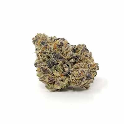 Alien Gas XXL Auto > Silent Seeds | Autoflowering Hanfsamen  |  Indica