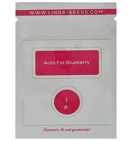 Auto Fat Blueberry > Linda Seeds | NOS RECOMMANDATIONS DE GRAINES DE CANNABIS  |  Graines de Cannabis à prix bas
