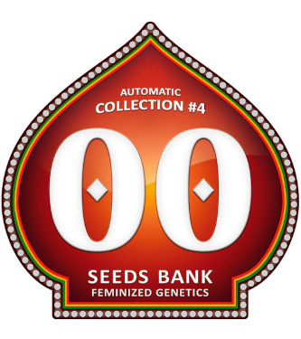 Automatic Collection #4 > 00 Seeds Bank | Autoflowering Hanfsamen  |  Indica