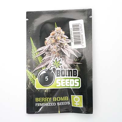 Berry Bomb semilla > Bomb Seeds | Semillas feminizadas  |  Índica