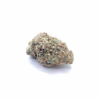 Cherry Cookies Mints > Tramuntana Seeds | Graines Féminisées  |  Indica