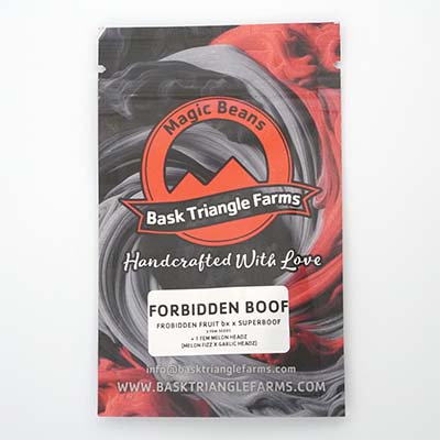 Forbidden Boof graines > Bask Triangle Farms | Graines Féminisées  |  Indica