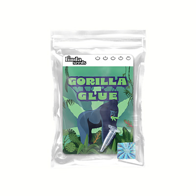 Gorilla Glue #4 graines > Linda Seeds | NOS RECOMMANDATIONS DE GRAINES DE CANNABIS  |  Graines de Cannabis à prix bas