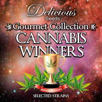 Gourmet Coll. Cannabis Winners 2 > Delicious Seeds | Semillas feminizadas  |  Híbrido