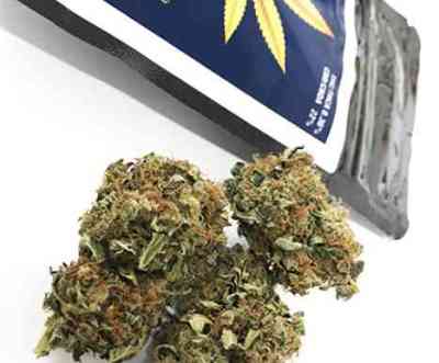 CBD Products | CBD marijuana