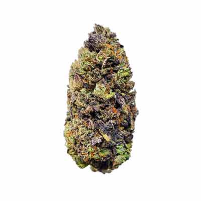 Monster Maker > Sweet Seeds | Semillas feminizadas  |  Índica