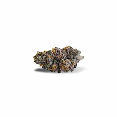 Purple Punch > Royal Queen Seeds | Graines Féminisées  |  Indica