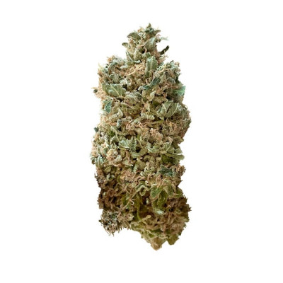 Royal Skywalker > Royal Queen Seeds | Semillas feminizadas  |  Híbrido