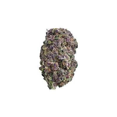 Seriotica > Serious Seeds | Feminisierte Hanfsamen  |  Hybrid