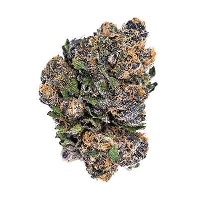 Tropical Jam > Silent Seeds | Feminized Cannabis   |  Sativa