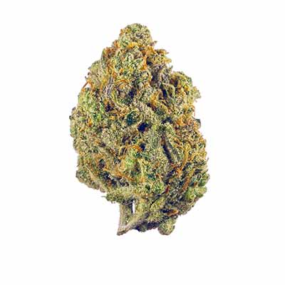 Zlushi > Empire Seeds | Feminized Cannabis   |  Indica