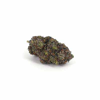 Zoinsk > Empire Seeds | Feminized Cannabis   |  Indica