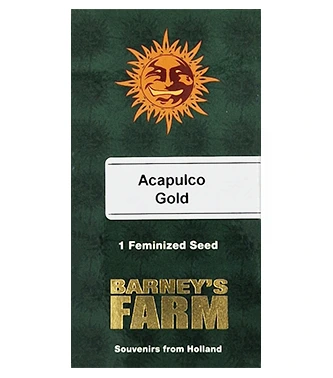 Acapulco Gold > Barney`s Farm | Hanfsamen Empfehlungen  |  TOP 10 Sativa Cannabis-Sorten