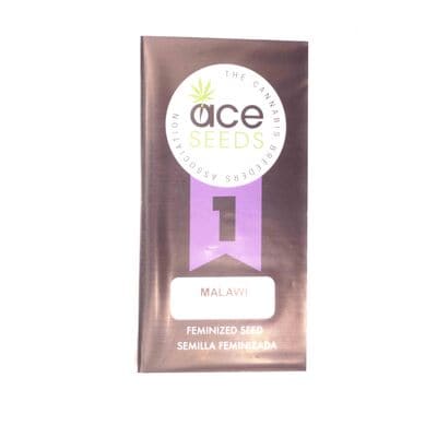 Malawi > ACE Seeds | Feminisierte Hanfsamen  |  Sativa