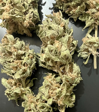 Afghan Kush Early Harvest > World of Seeds | Feminisierte Hanfsamen  |  Indica