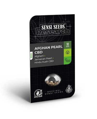 Afghan Pearl CDB Auto > Sensi Seeds | CBD Hanfsamen  |  Hybrid