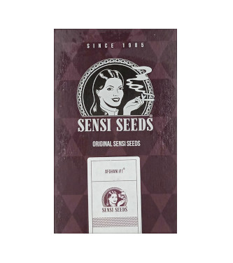 Afghani #1 > Sensi Seeds | Semillas feminizadas  |  Índica