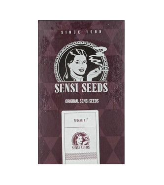 Afghani #1 > Sensi Seeds | Feminisierte Hanfsamen  |  Indica