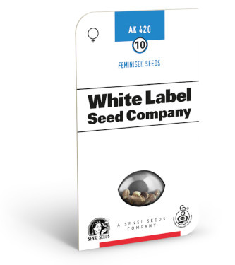 AK 420 > White Label | Graines Féminisées  |  Hybride