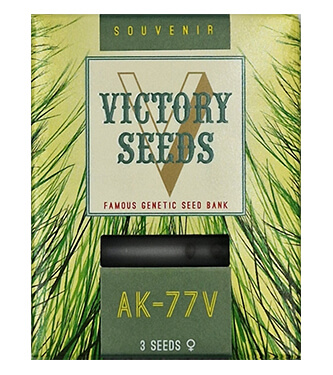 AK-77V > Victory Seeds | Feminisierte Hanfsamen  |  Sativa