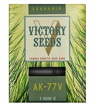 AK-77V > Victory Seeds | Graines Féminisées  |  Sativa