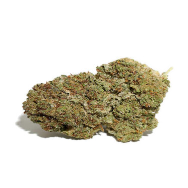 Alien OG > Bulk Seeds | Feminized Marijuana   |  Indica