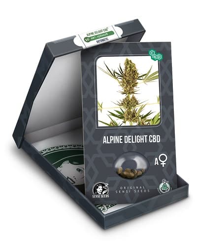 Alpine Delight CBD Auto > Sensi Seeds | CBD cannabis seeds  |  Hybrid