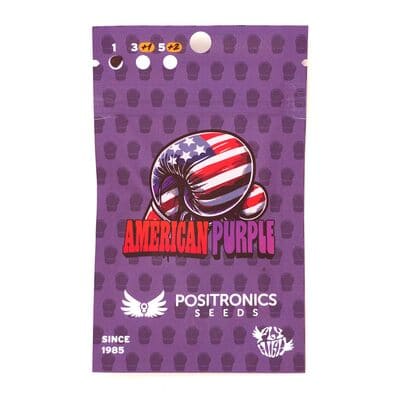 American Purple > Positronics | Feminized Cannabis   |  Sativa