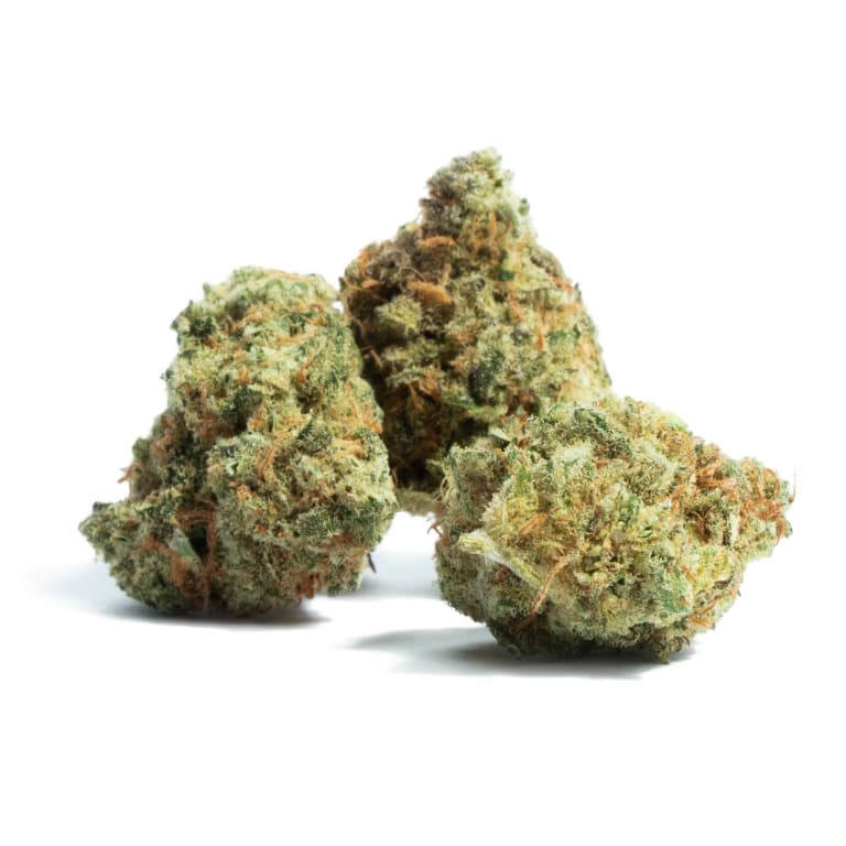 Amnesia CBD > Iguana Smoke | CBD Products