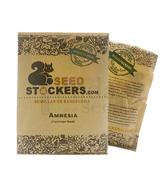 Amnesia > Seed Stockers | Semillas feminizadas  |  Sativa