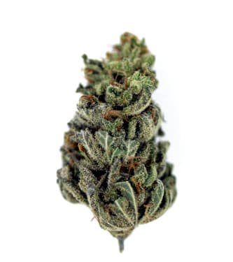 Amnesia Haze > Royal Queen Seeds | Semillas feminizadas  |  Sativa