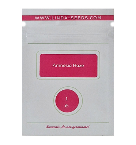 Amnesia Haze > Linda Seeds | Hanfsamen Empfehlungen  |  Günstige Hanfsamen