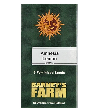 Amnesia Lemon > Barney`s Farm | Feminisierte Hanfsamen  |  Hybrid