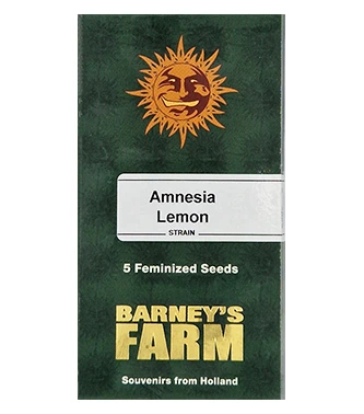 Amnesia Lemon > Barney`s Farm | Semillas feminizadas  |  Híbrido