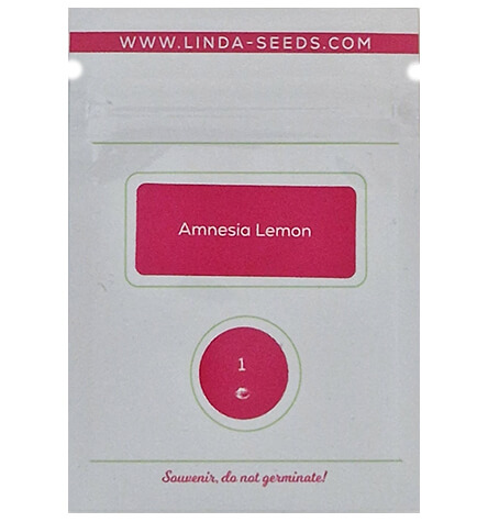 Amnesia Lemon > Linda Seeds | Hanfsamen Empfehlungen  |  Günstige Hanfsamen