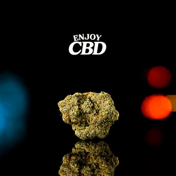 Amnesia OWL CBD > Enjoy CBD | CBD Blüten