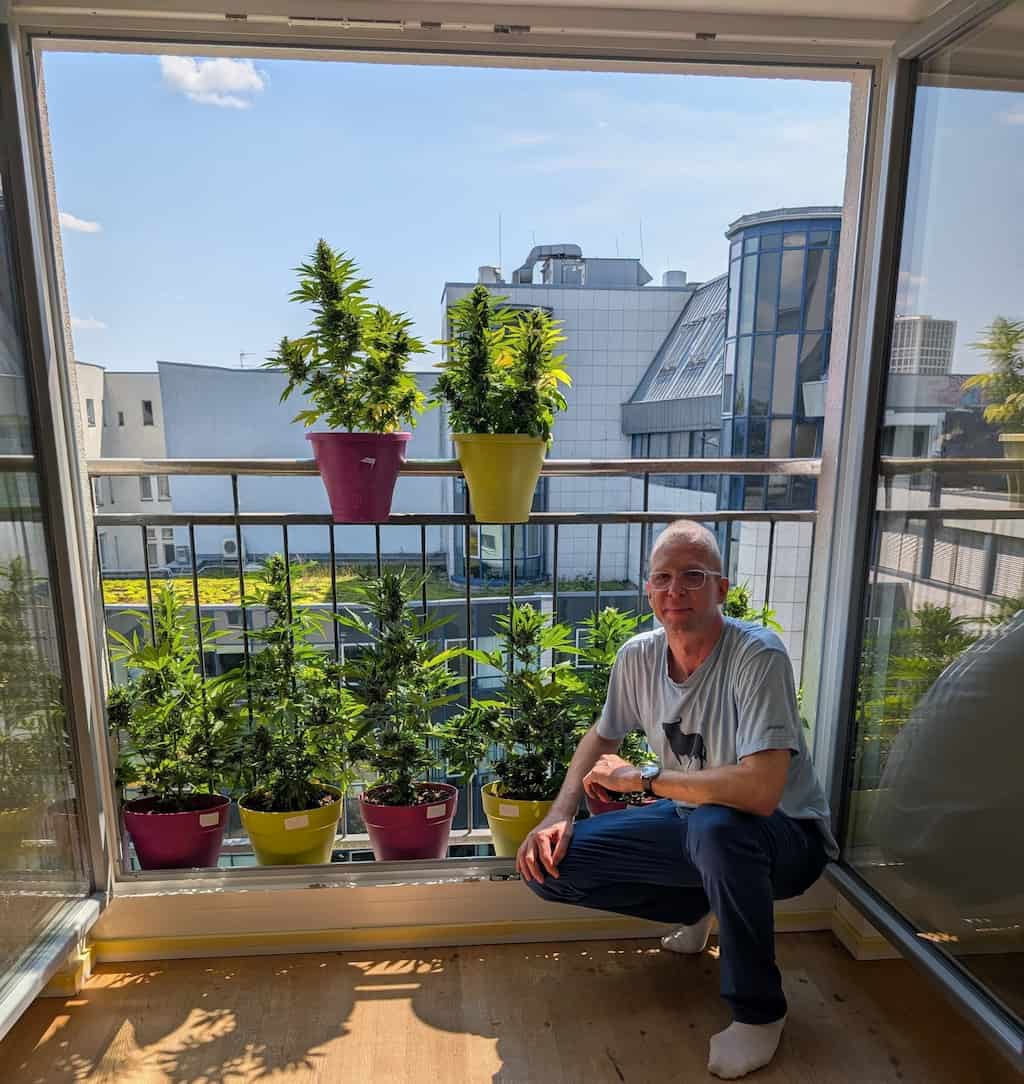 Anton Meixner mit Autoflowering Cannabispflanzen auf Balkon – Homegrow unter realen Bedingungen.
