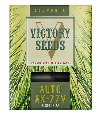 Auto AK-77V > Victory Seeds | Graines Autofloraison  |  Hybride