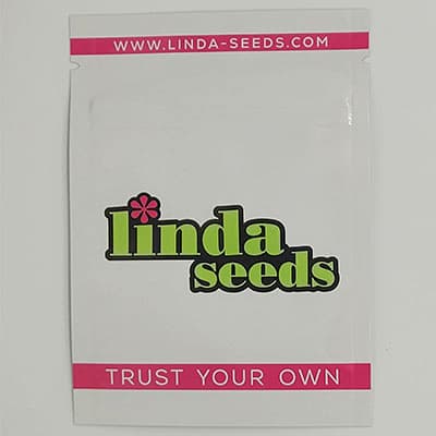 Auto Amnesia Haze CBD semilla > Linda Seeds | Semillas CBD  |  Híbrido