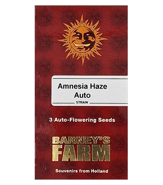 Amnesia Haze Auto > Barneys Farm | Autoflowering Cannabis   |  Sativa