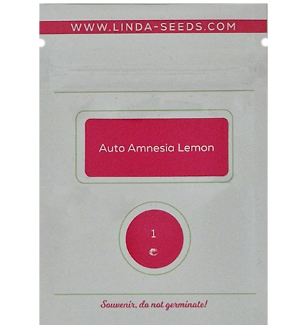 Auto Amnesia Lemon > Linda Seeds | NUESTRAS RECOMENDACIONES DE SEMILLAS DE MARIHUANA  |  Semillas Baratas