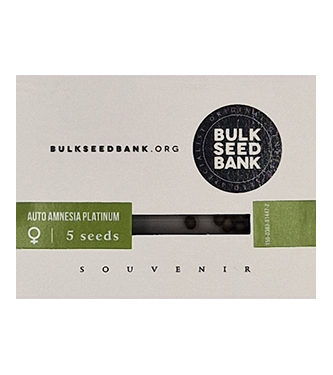 Auto Amnesia Platinum > Bulk Seed Bank | Graines Autofloraison  |  Sativa