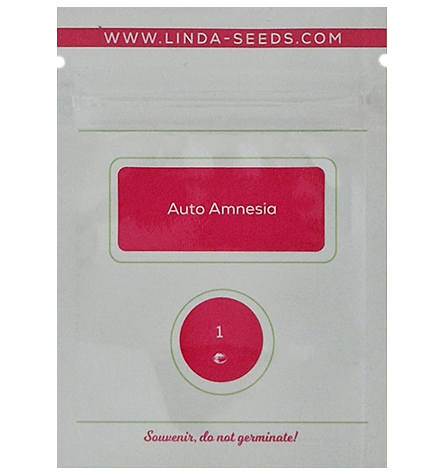 Auto Amnesia > Linda Seeds | Hanfsamen Empfehlungen  |  Günstige Hanfsamen