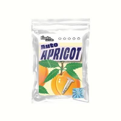 Auto Apricot graines > Linda Seeds | Graines de cannabis autoflo  |  Indica