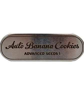 Auto Banana Cookies > Advanced Seeds | Autoflowering Hanfsamen  |  Hybrid