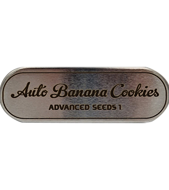 Auto Banana Cookies > Advanced Seeds | Semillas autoflorecientes  |  Híbrido