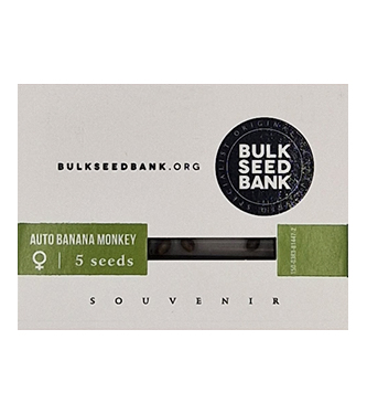 Auto Banana Monkey > Bulk Seed Bank | Autoflowering Hanfsamen  |  Hybrid