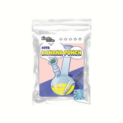 Auto Banana Punch semilla > Linda Seeds | NUESTRAS RECOMENDACIONES DE SEMILLAS DE MARIHUANA  |  Semillas Baratas