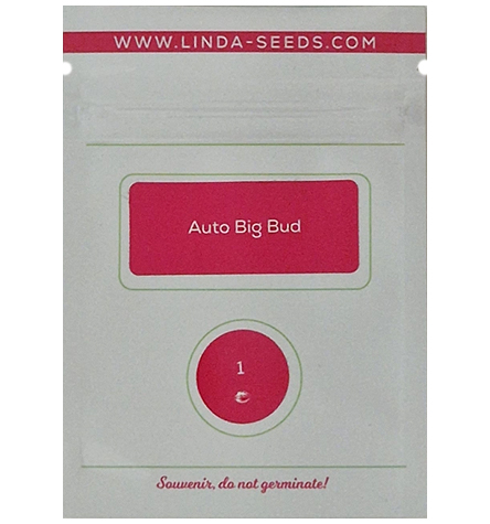 Auto Big Bud > Linda Seeds | NOS RECOMMANDATIONS DE GRAINES DE CANNABIS  |  Graines de Cannabis à prix bas